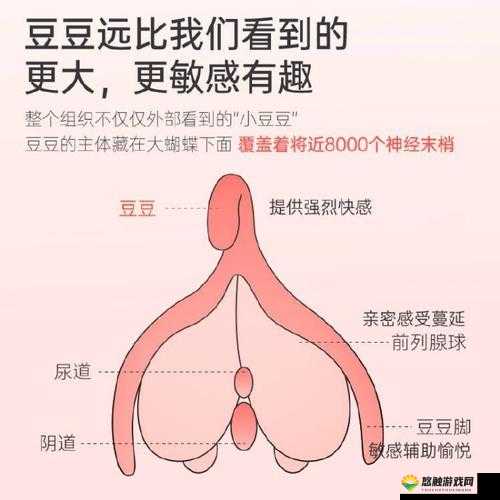 小玩具调到 10 档：带来前所未有的全新体验