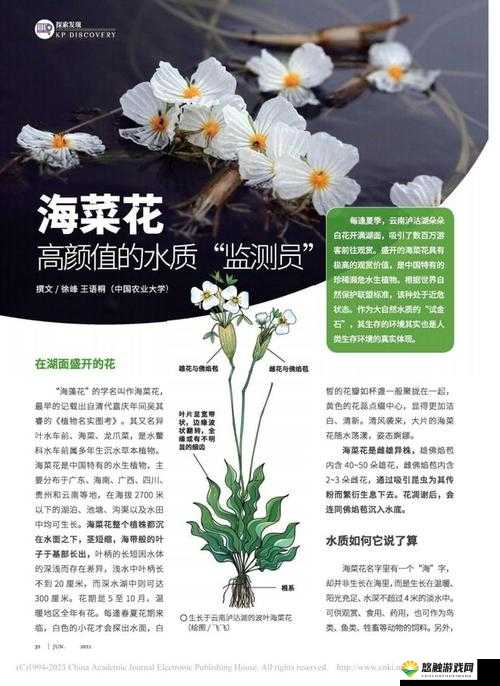 海洋作物种植全解析