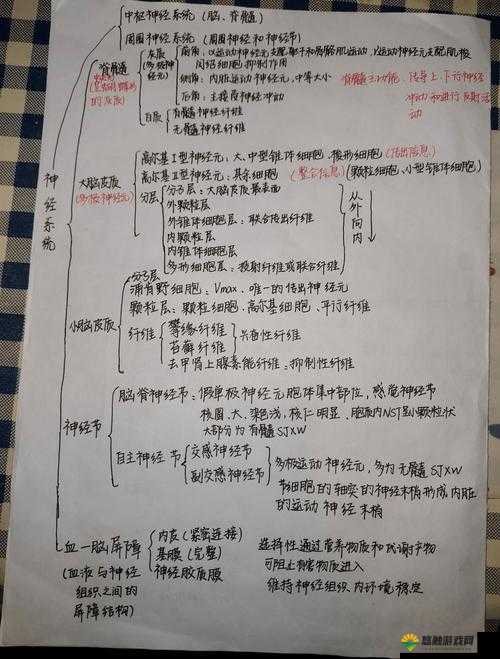 化学实验室学霸做哭学渣试管：一场令人深思的校园竞争风波