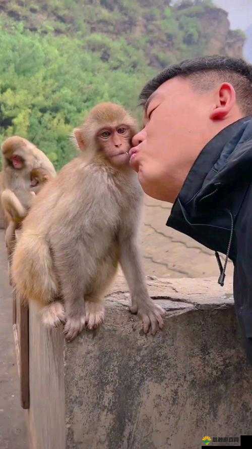 人与动物跨越界限的特殊夫妻关系探讨