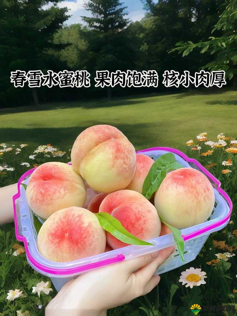 爆汁甜美的×7×7×7×7 水蜜桃，你尝过了吗？