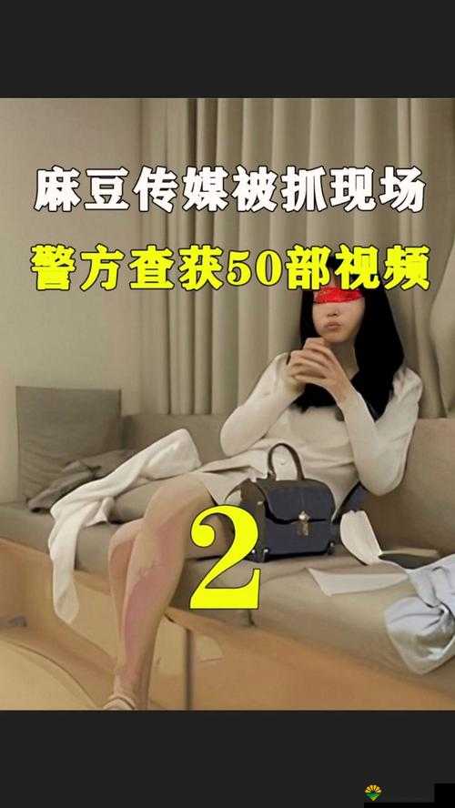 麻豆成年进入人口现象引发的相关探讨