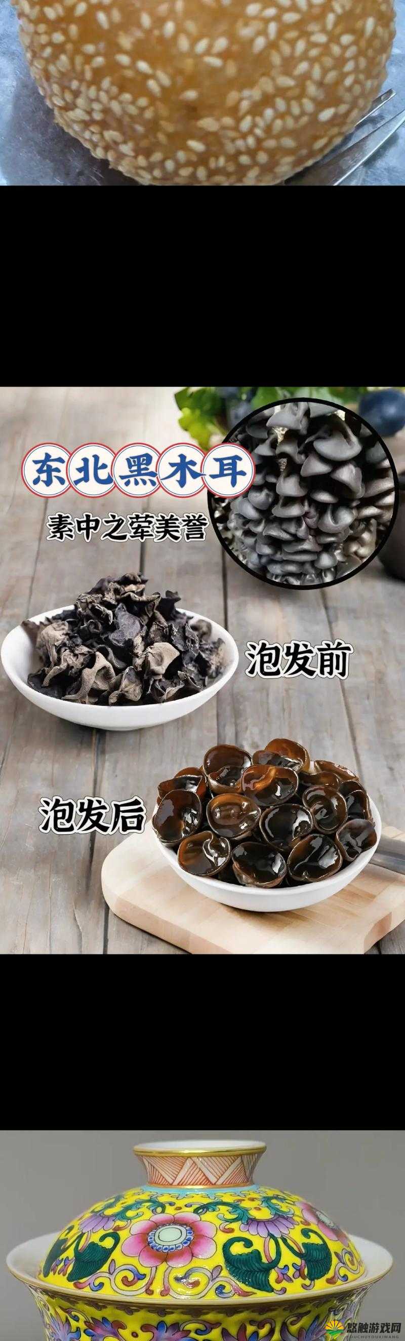 黑木耳网：提供优质黑木耳产品与专业种植知识