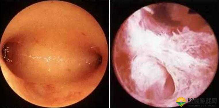 撞击声与黏腻粘连水渍声交织的奇妙情境