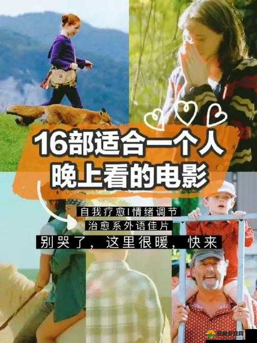 适合晚上一个人看的那些精彩电影有什么