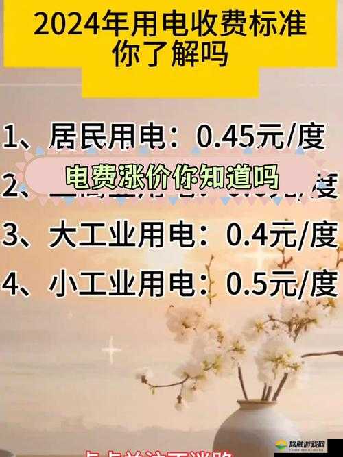 韩国三色电费 2024 免费吗多少钱：关于其具体情况的全面解析