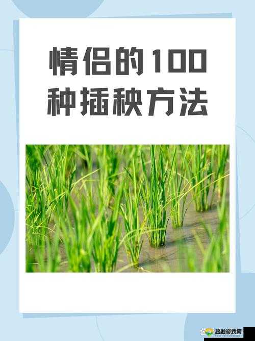 夫妻之间的 100 种插秧法：深入探讨夫妻农耕生活的多元方式与技巧