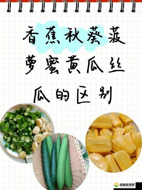 香蕉菠萝水蜜桃黄瓜丝瓜秋葵评测：全方位口感与营养解析