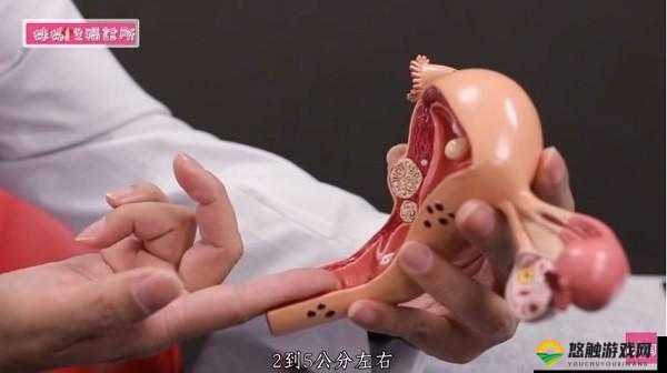 如何看待荫道 BBwBBB 高潮潮喷现象?