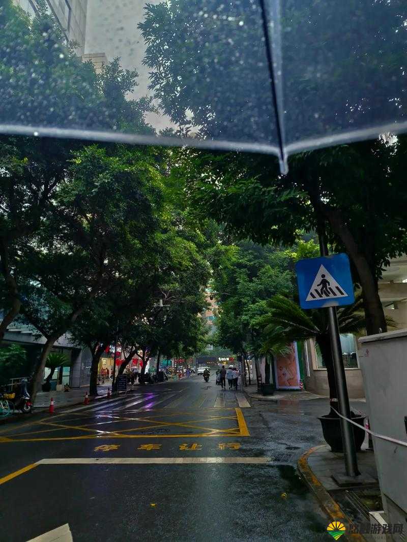 湿漉漉的像是刚下过雨的场景让人回味