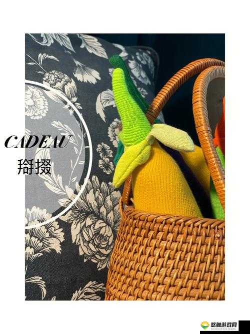 欧美掇BBBBB掇BBBBB：探寻其背后的神秘魅力与价值