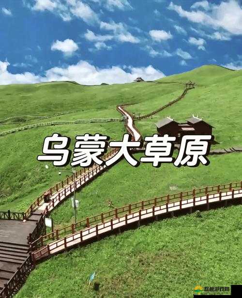 大焦香伊在人线官网大象：探索未知的奇妙之旅