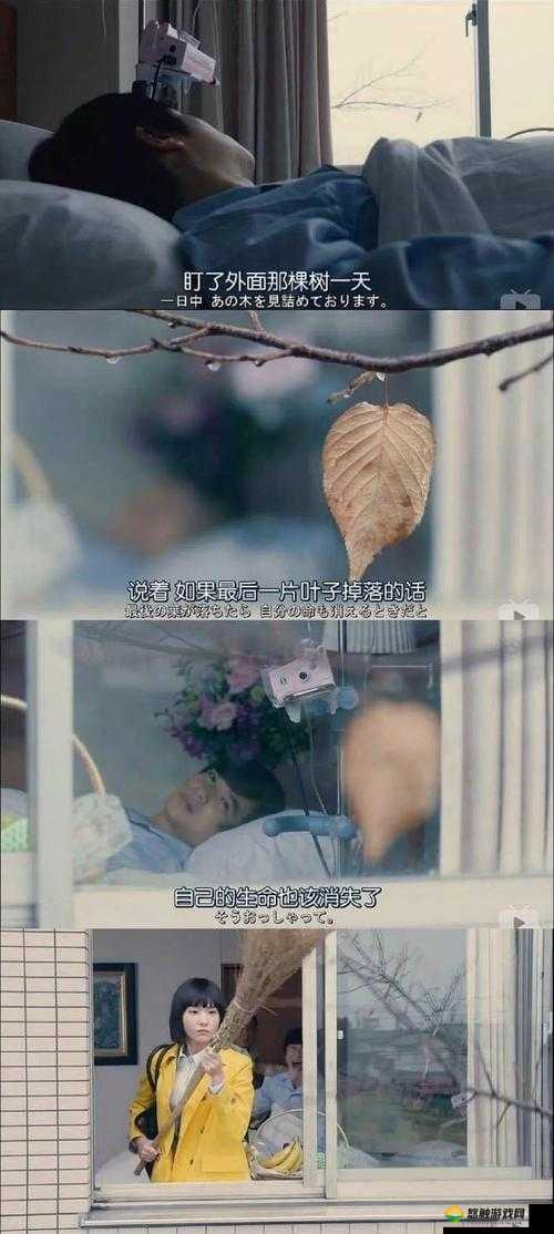 操欧欧色肥妇：一个引发争议的话题