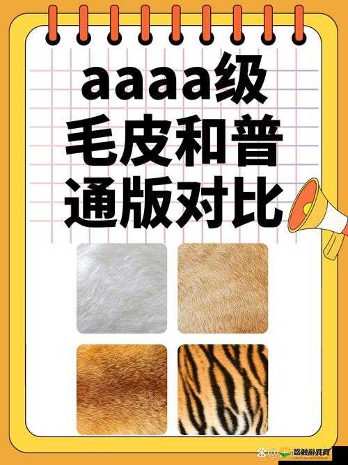 AAAA 级毛皮和 AAAA 的区别:深入探究两者的显著差异