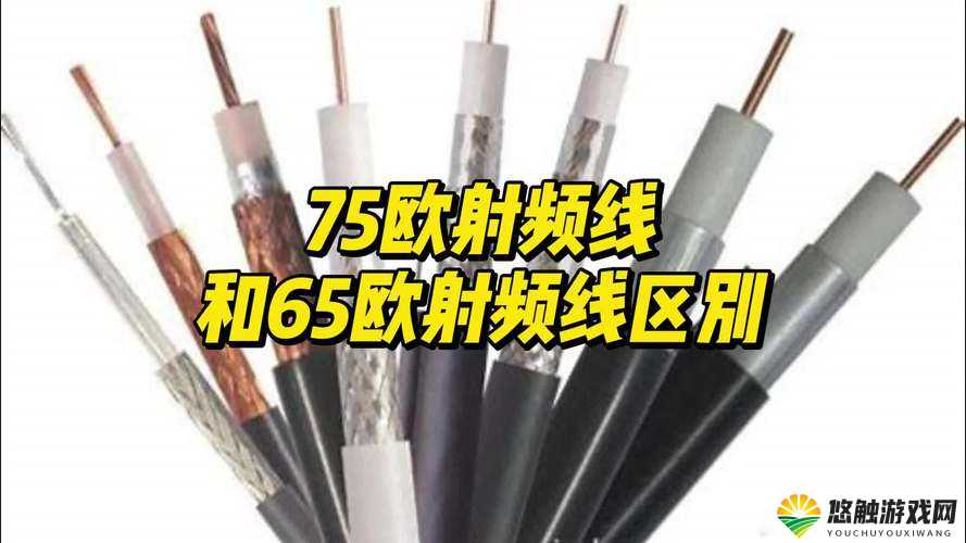 75 欧射频线和 65 欧射频线区别人气剧增的秘密