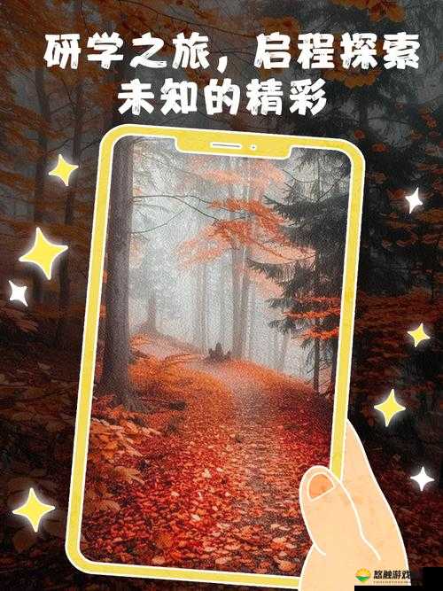 dasd938 ：带你探索未知的精彩世界之旅