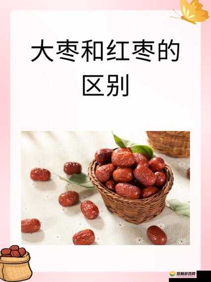 大枣与红枣的区别究竟在哪里