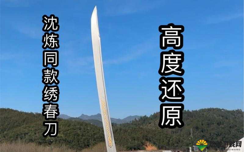 九阴真经手游绣春刀现世 御赐佩刀截图