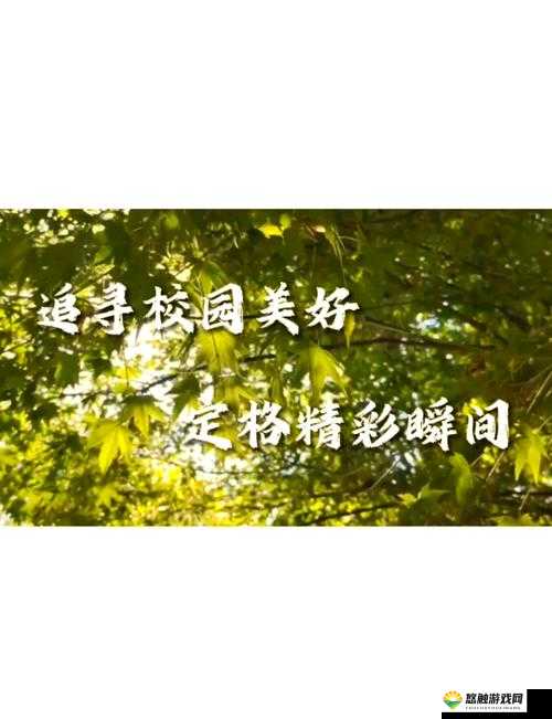 安妮的学校时光游戏攻略:如何在校园中度过美好时光