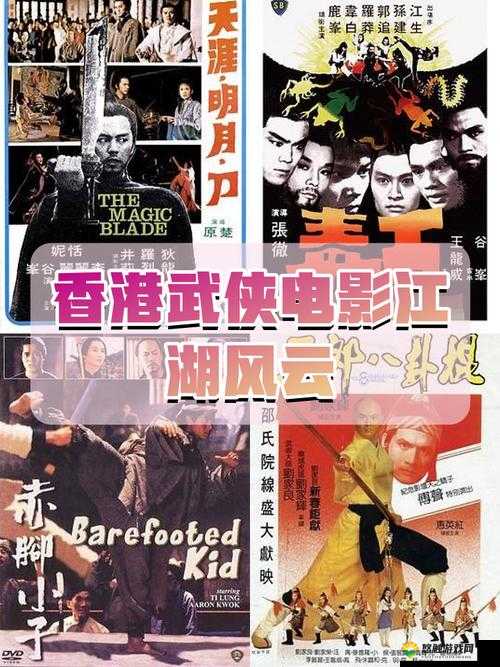 古典武侠熟女之江湖风云传奇故事:侠骨柔肠与爱恨情仇交织