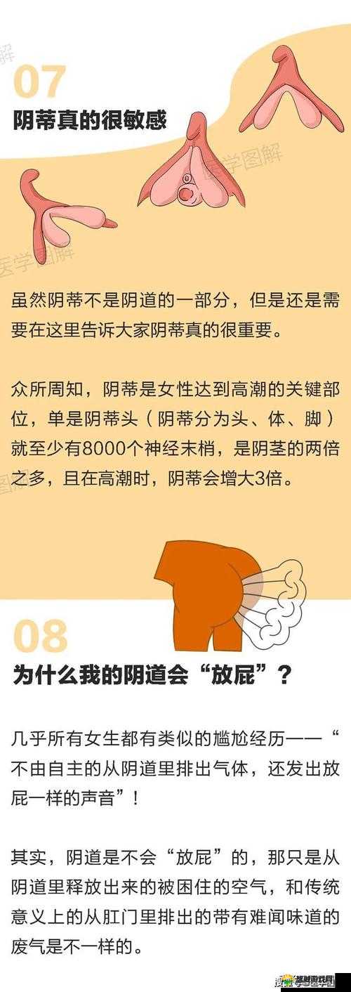老年人-当性与爱交织-高潮与体内射的秘密