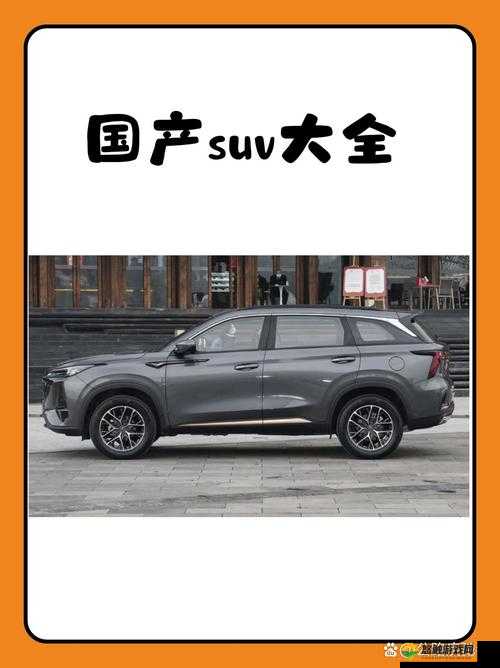 Jagnexsmax 与国产：性能、品质大揭秘