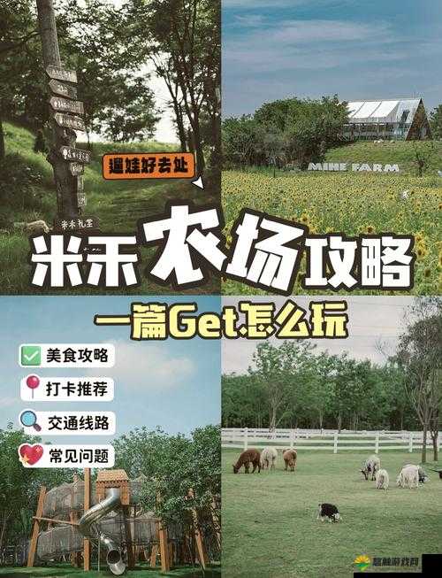 人 CZ000ZO0O 农场怎么玩之详细攻略与技巧分享