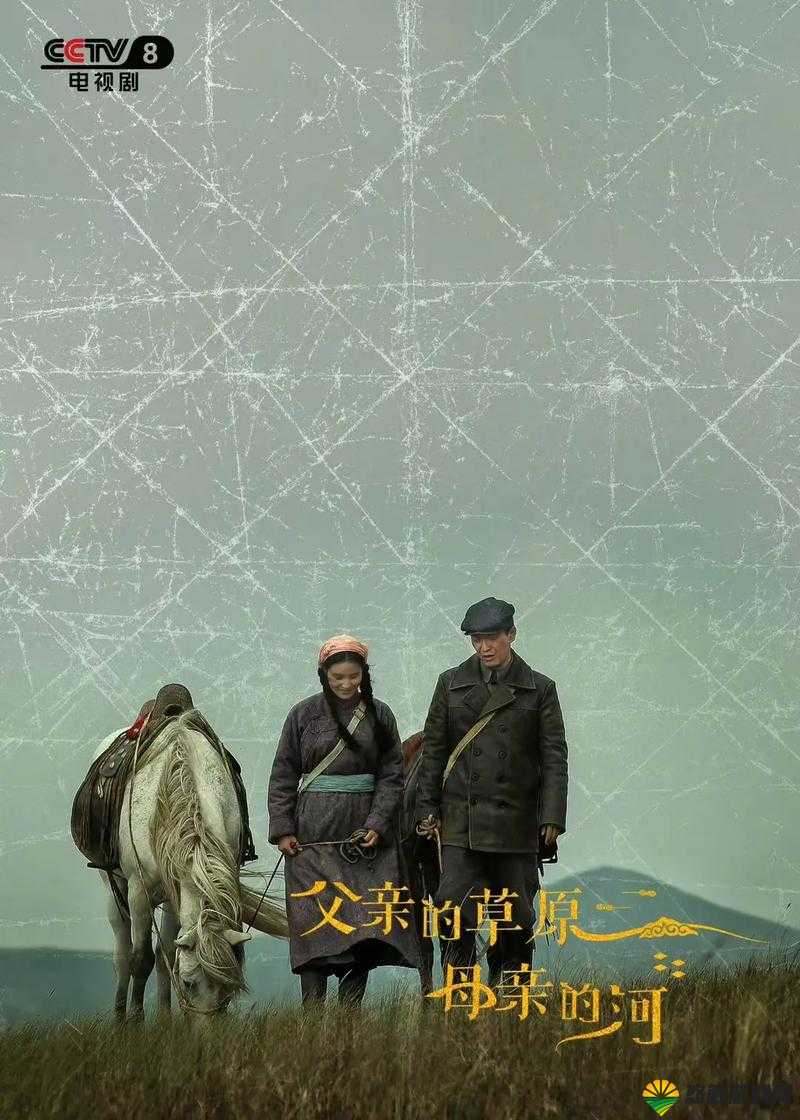 爸爸播种的电视剧免费观看：精彩剧情不容错过