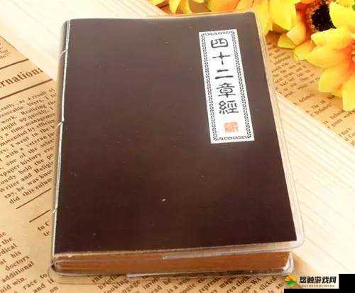鹿鼎记小宝筛子说明介绍与新手玩家注意事项在游戏资源管理中的重要性及策略