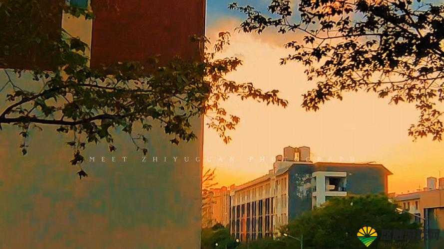 武汉大学内野 CampBuddy 图片：青春活力的校园时光