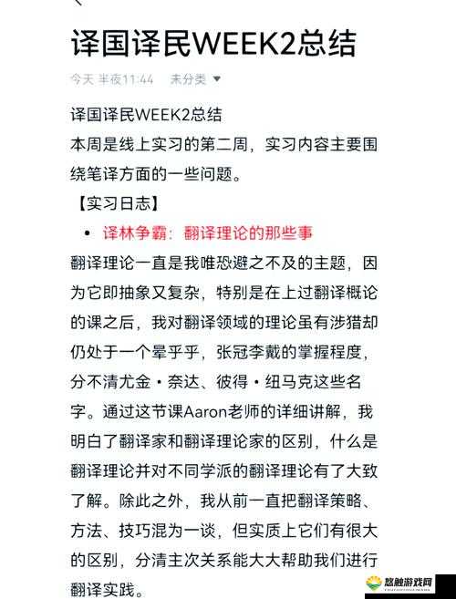惩戒 2 狂热的从业指导 14 翻译之深入解读与全面剖析