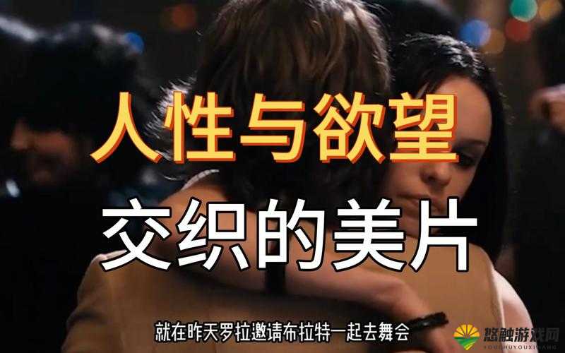 无套内谢孕妇髦片免费观看:探寻别样刺激与禁忌之美