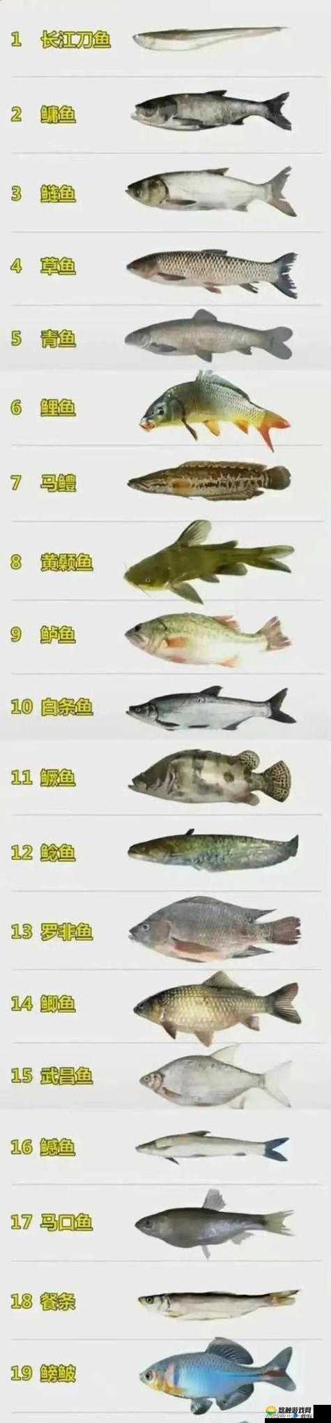 日本精品一线二线三线区别在哪里啊：深度解析与全面探究