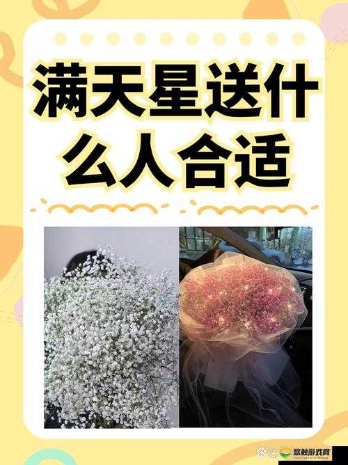 完美妻子满天星：以爱之名，诠释婚姻的真谛