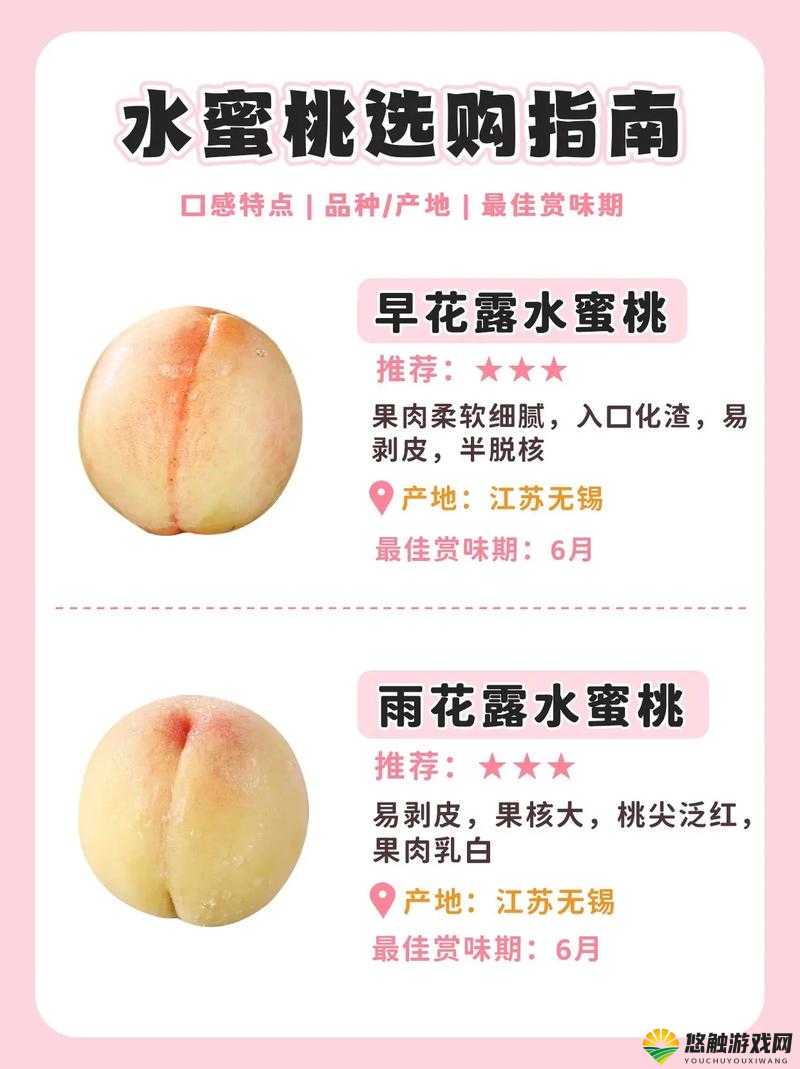 日本水蜜桃身体：关于其特征与相关介绍的详细探讨