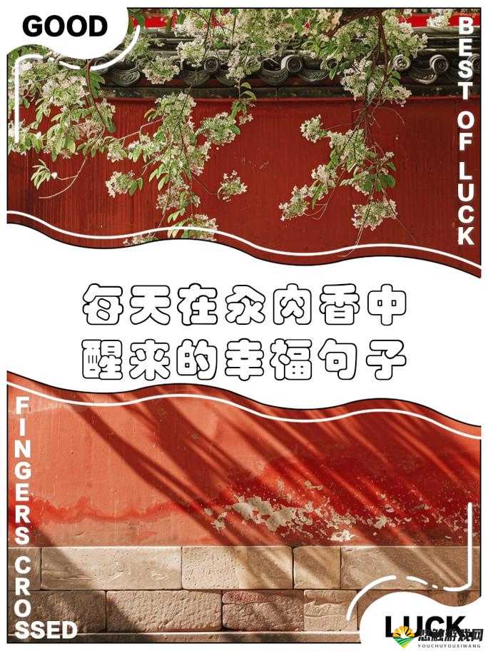 每天早上都沉浸在汆肉的美味中度过