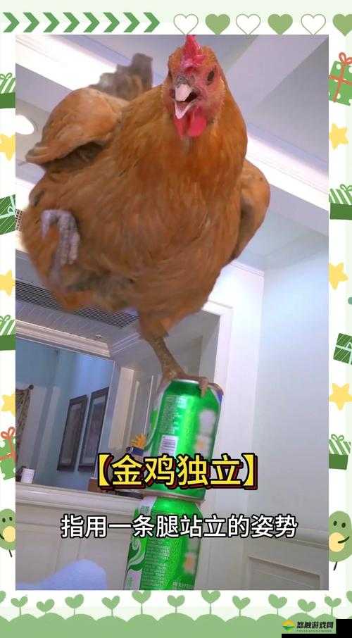鸡嘴牛身，解锁成语新姿势