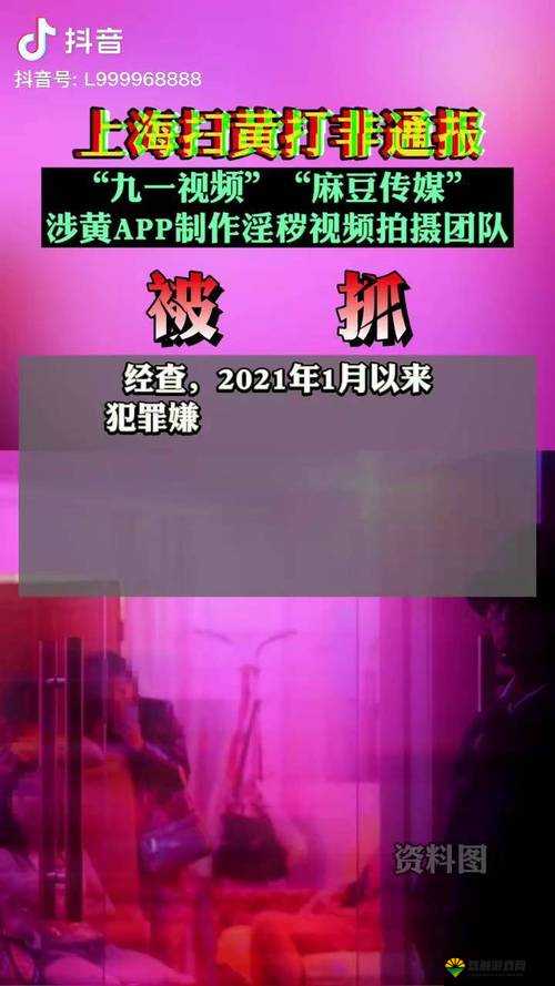 麻豆视传媒黄 app：畅享精彩视频资源不容错过