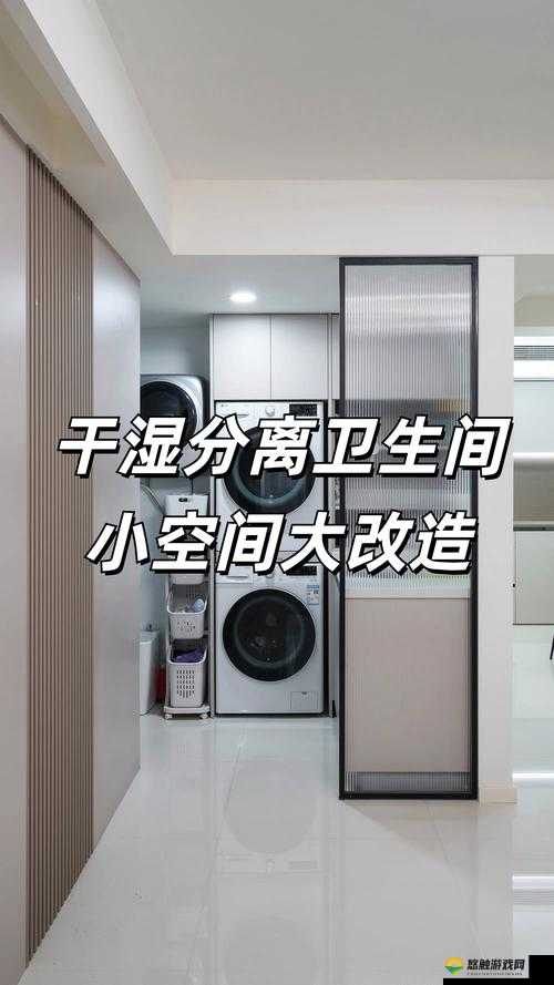 家里没人可不可以干湿你分离改造：空间利用与舒适兼得