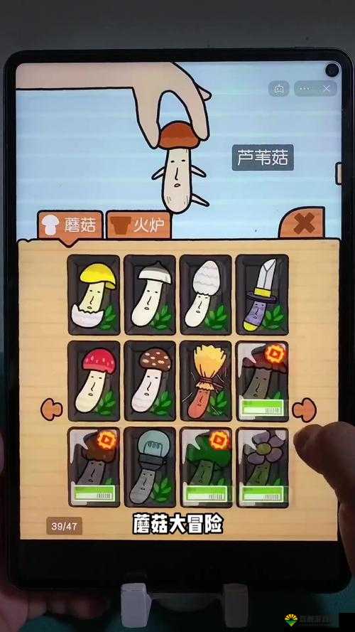 锵锵锵锵游戏在线观看：一场精彩刺激的冒险之旅