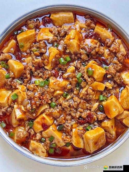 麻婆豆腐传媒入口：品味美食与文化的绝佳之地