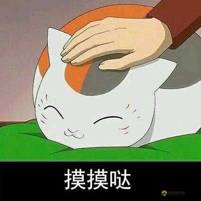 你绝对好奇的白天摸摸哒晚上摸摸哒是什么歌：带你探究歌曲背后的故事