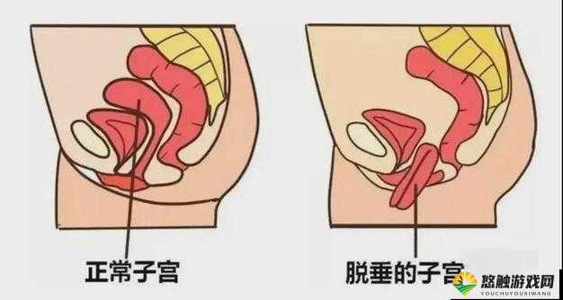 四川女人高潮一级髦片：真实呈现女性性高潮的私密记录