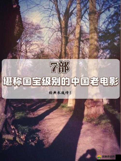 国内久经典 AAAAA 片之独特魅力与深刻内涵探讨