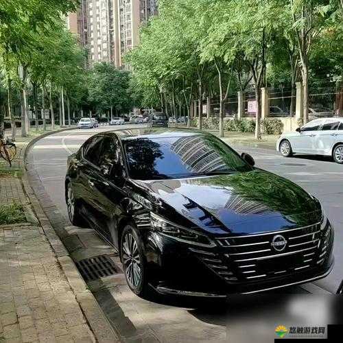 精品日产高清卡 4 与卡 5 的区别- 你需要了解的关键信息