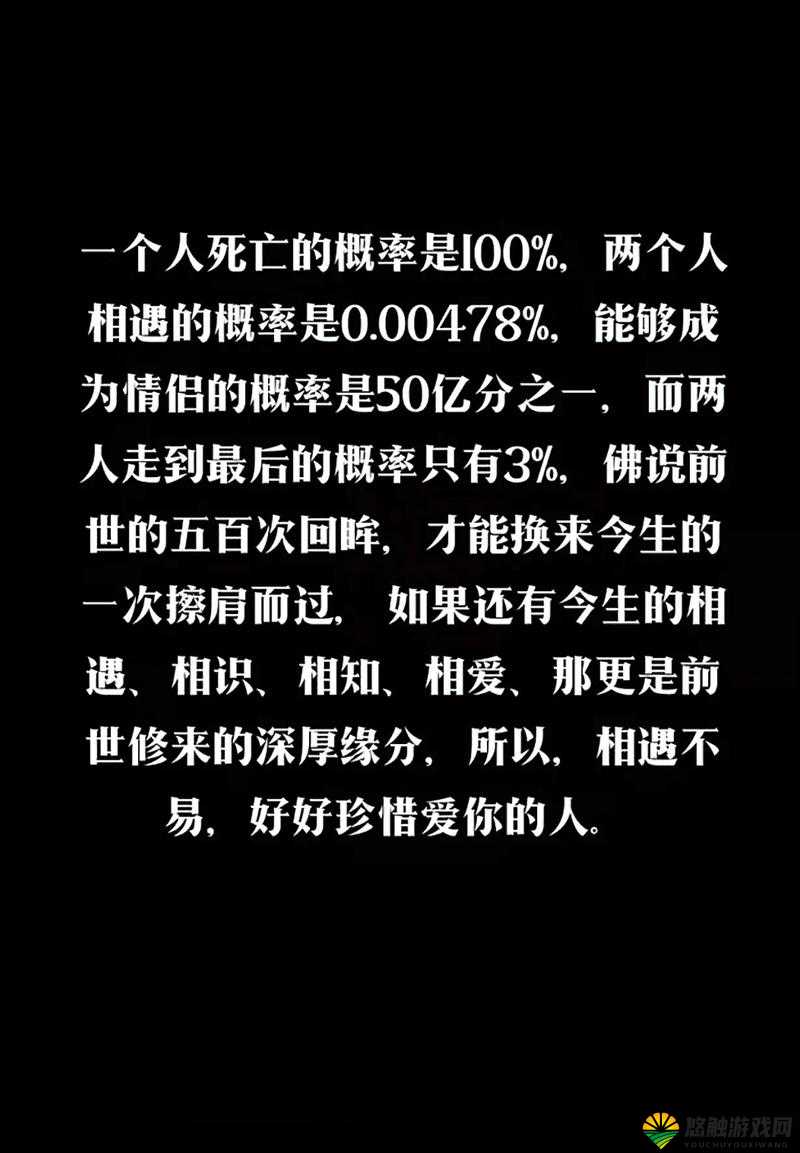 九一妻友：从相识到相知的爱情故事