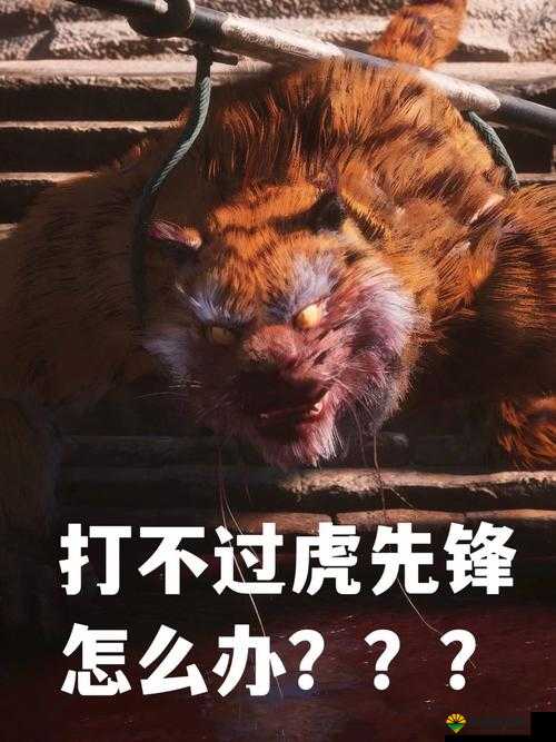 新御剑天涯魔灵虎先锋深度解析，四星虎先锋组合技大揭秘
