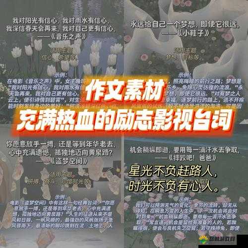 成色好的 y31 的影视短片之精彩内容呈现与深度解析