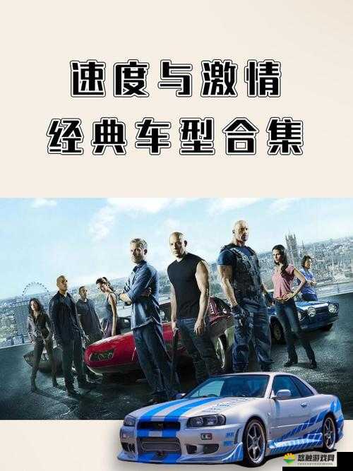 肉肉的车:带你领略不一样的速度与激情之旅