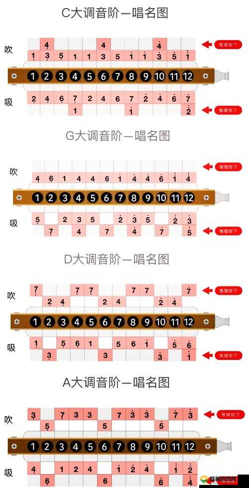 自 W 到高 C 的 50 种图片教程详细解读与示例